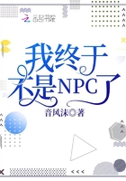 �����ڲ���NPC��